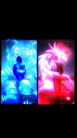 NEON DRAGON+TIGER