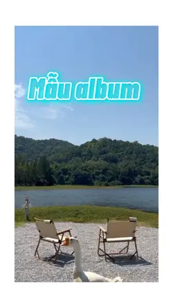 Album 