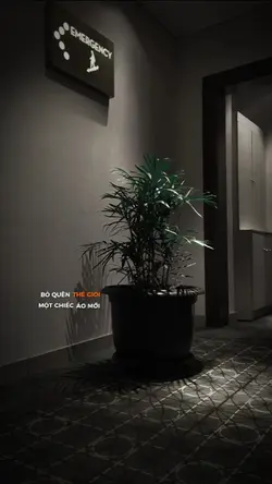 BỎ QUÊN THẾ GIỚI