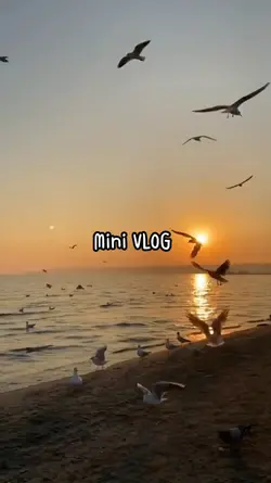 VLOG 9 Video / Foto 