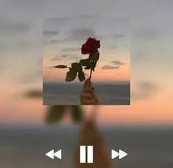 라일락