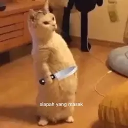 siapa masak ini 