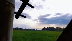SuaraBurungPedesaan
