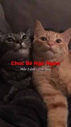 Chúc Bé Ngủ Ngon