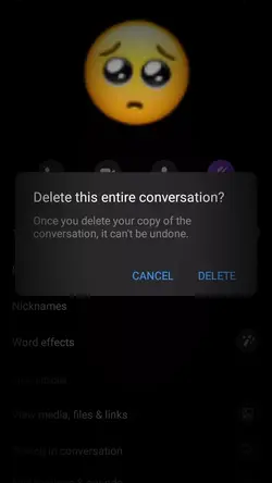 delete Convo.