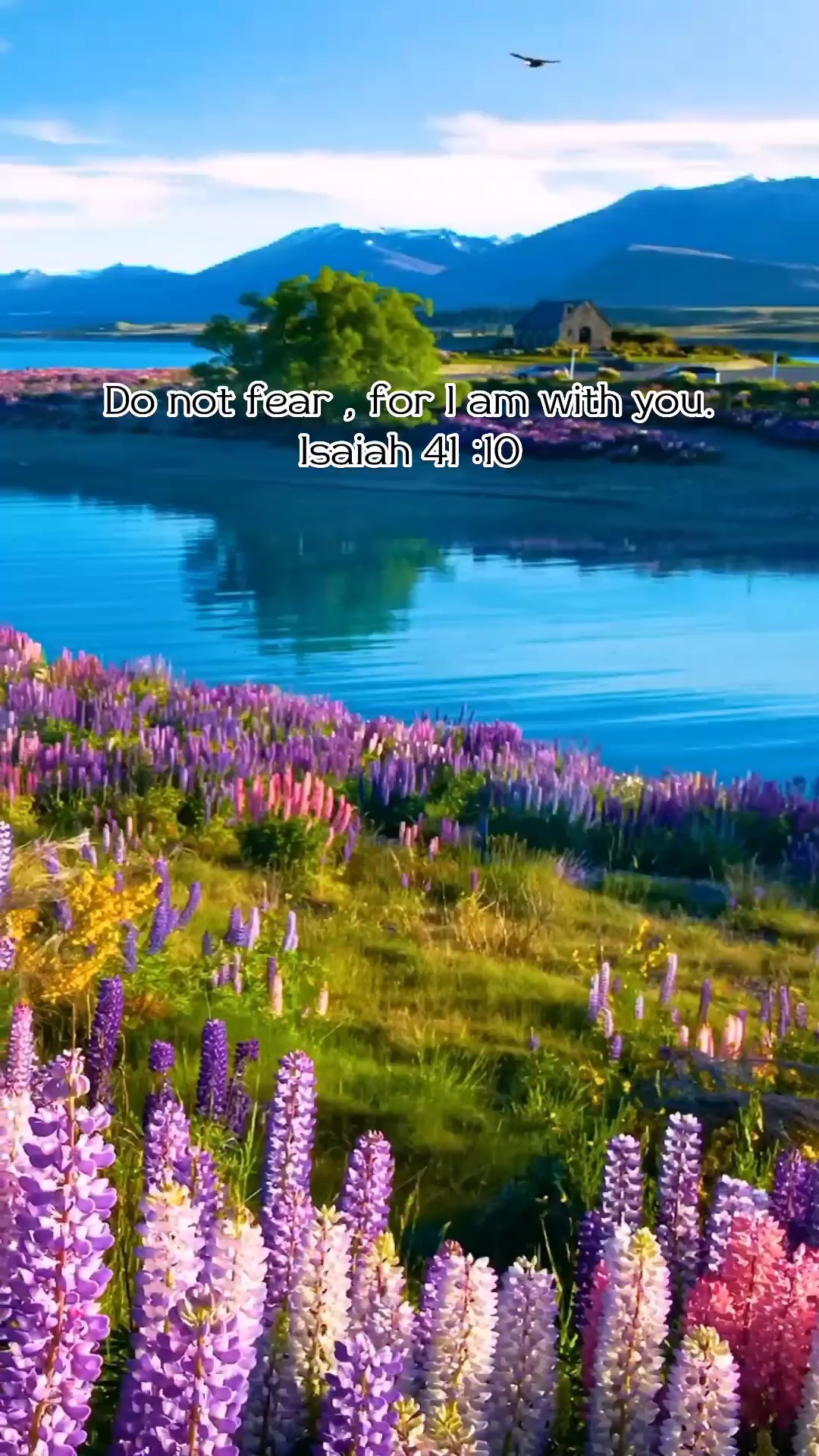 ISAIAH 41 : 10