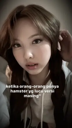 versi hamster 3 foto