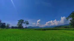 Filter iPhone 16:9