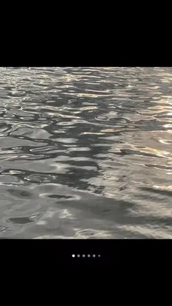 7 pics แบบไม่มีโทน