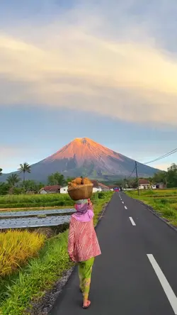 vibes sawah & gunung