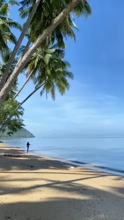 video estetik