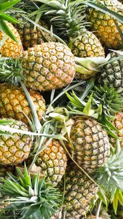Sweet Pineapple