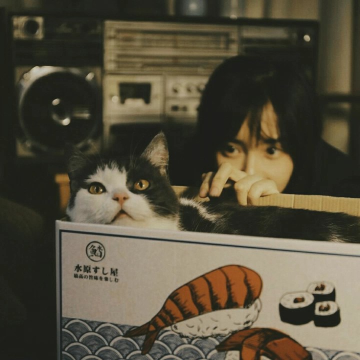 Cover Picture