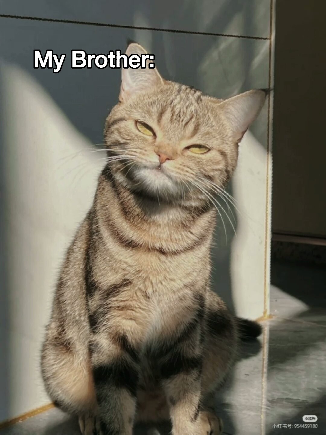 my brother and I