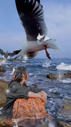 Burung Pantai