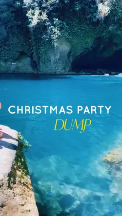CHRISTMAS PARTY DUMP