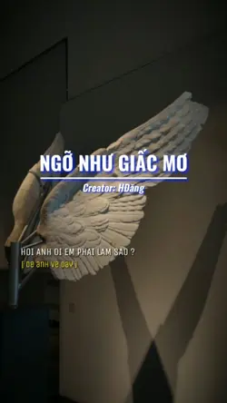 Hỡi anh ơi em phải