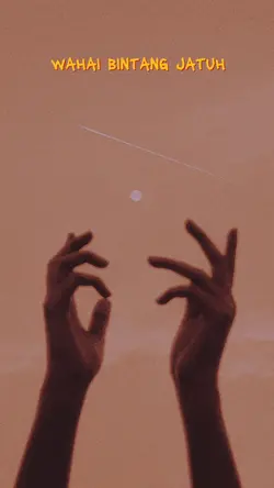 wahai bintang jatuh 