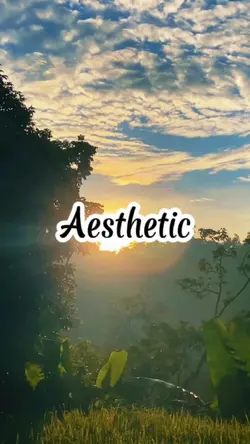 Aesthetic
