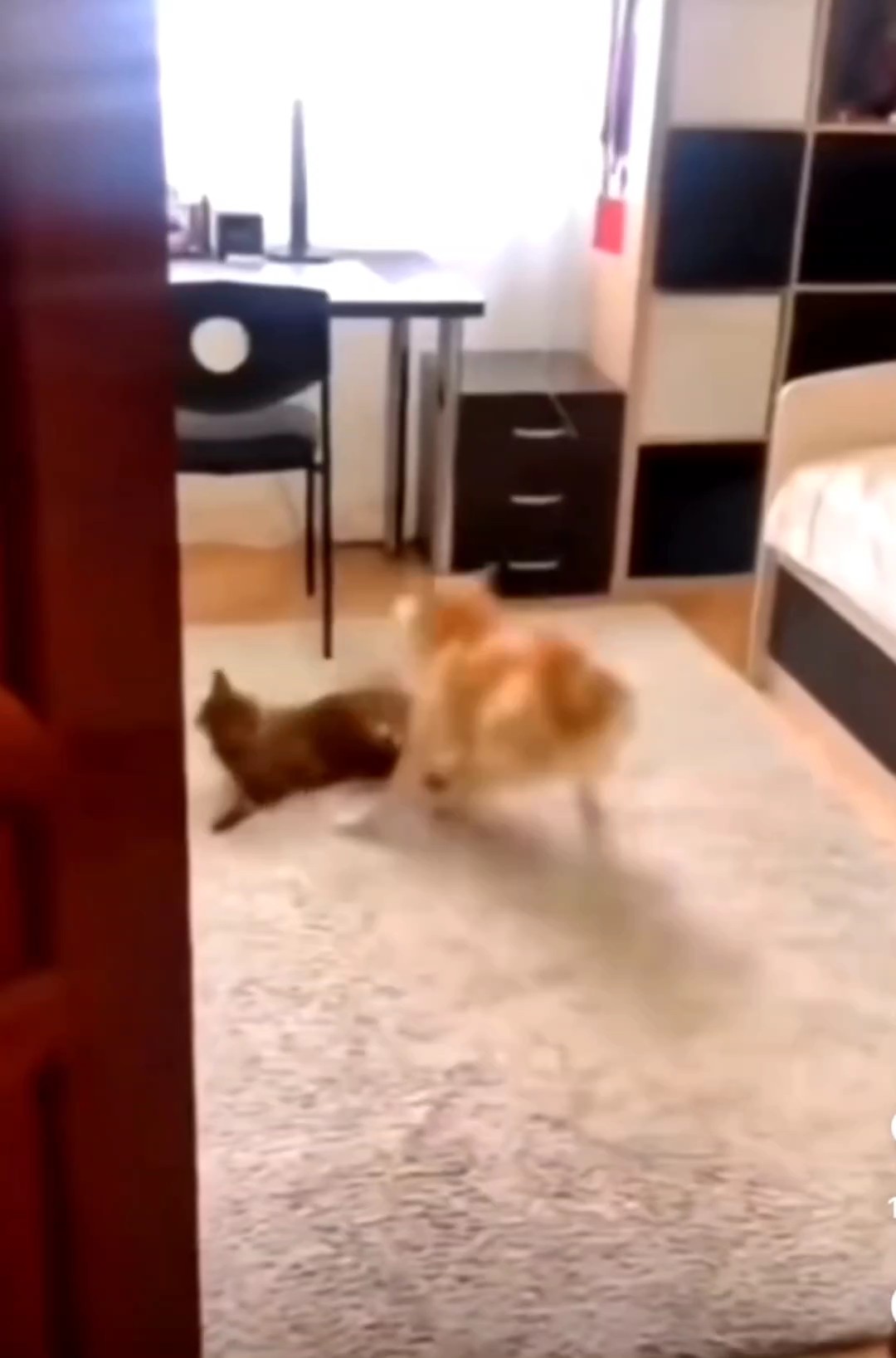 หลบแบบดิจิตอล55555