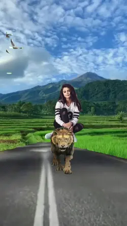 Lion walk