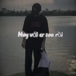Mẫu stt+2 ảnh ttr