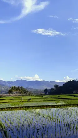 cuaca cerah pagi