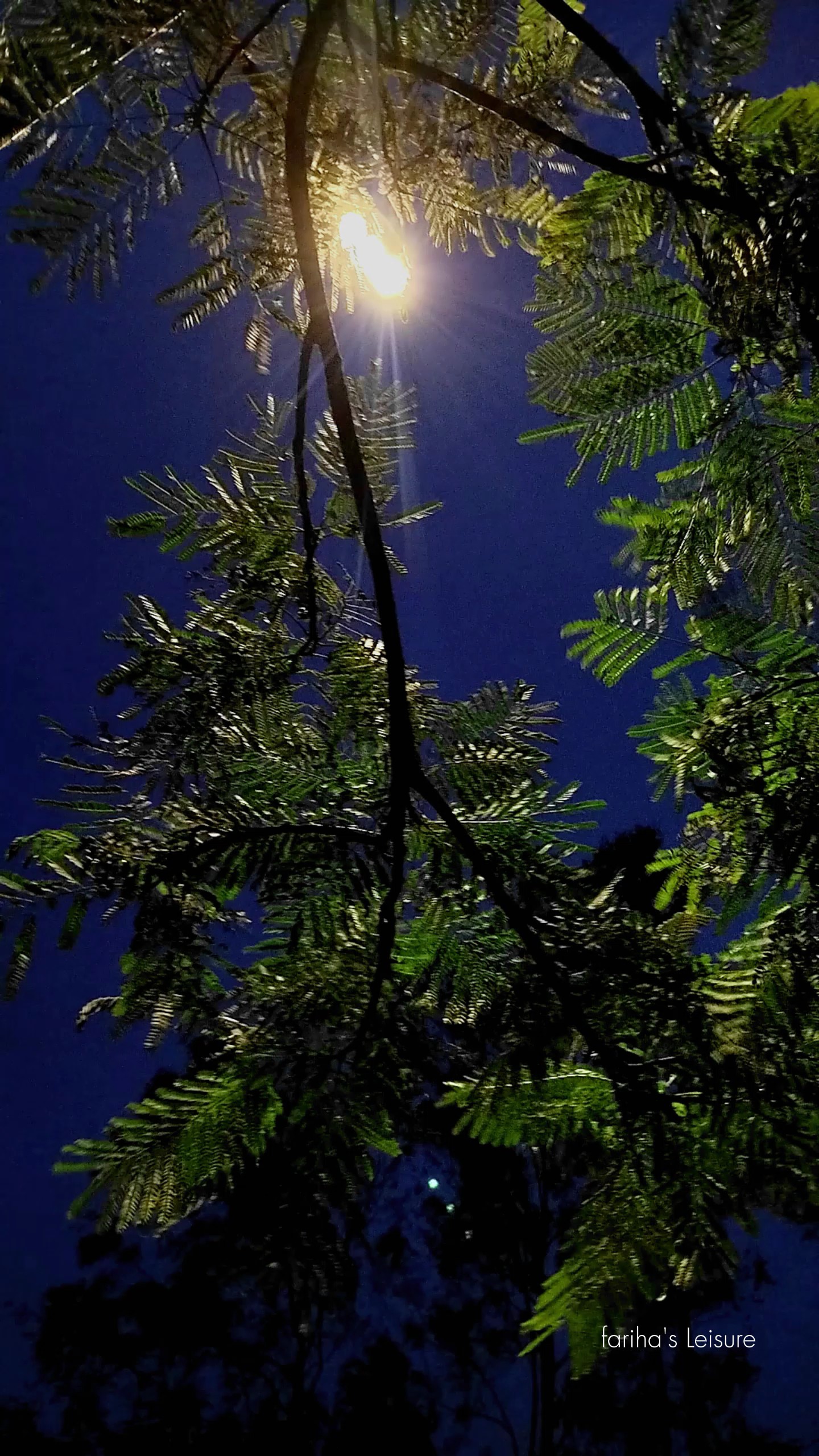 একা বসে তুমি 