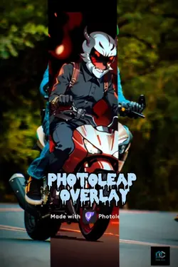 Photoleap Overlay