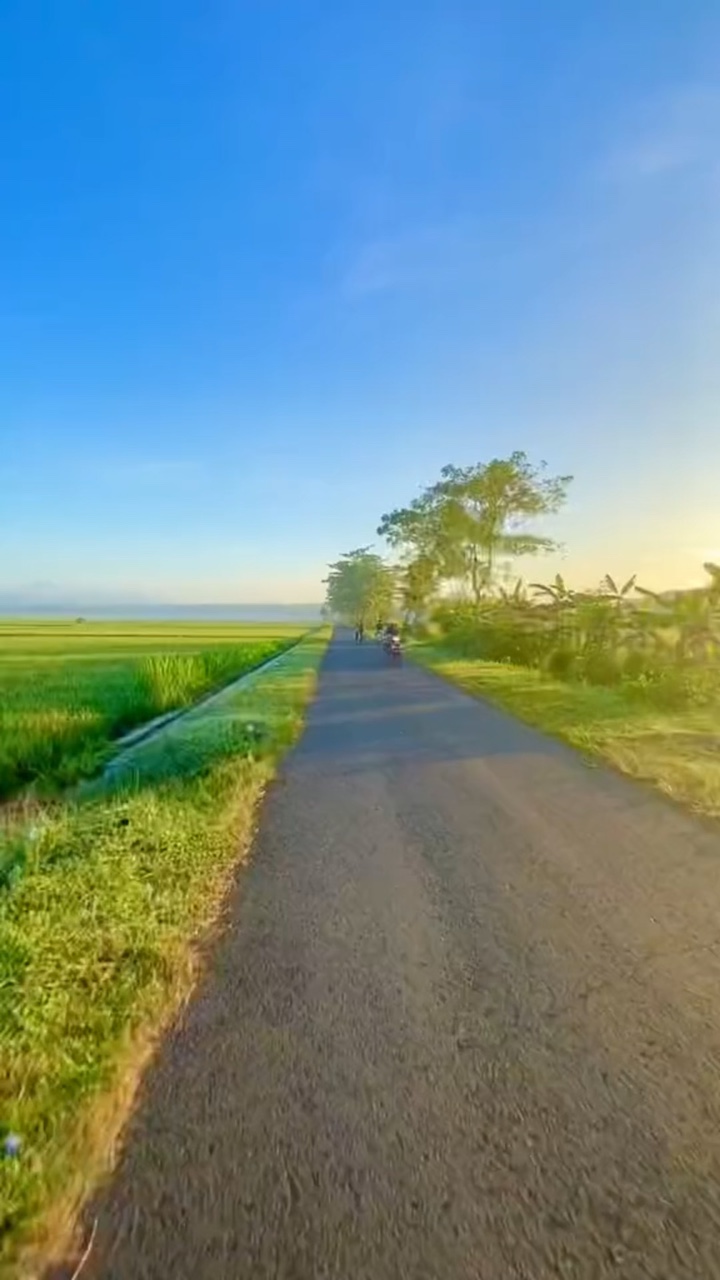 vlog buat healing