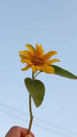 หยิบปากกาเขียนจดหมาย💌