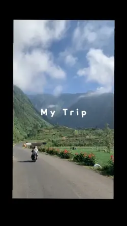 My Trip