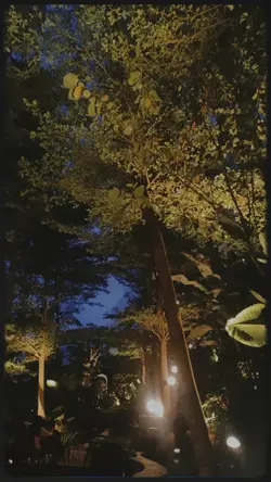 ganti pakai fotomu