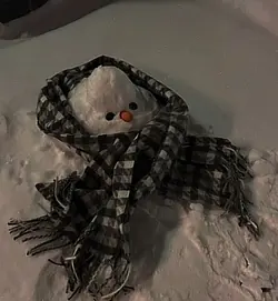 사진 1장으로 감성이 빠빰⭐️