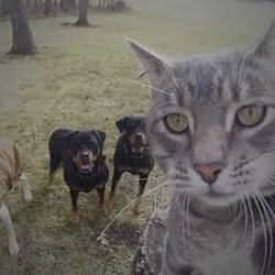 3รูป น่ารักๆ