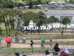 Field Trip 