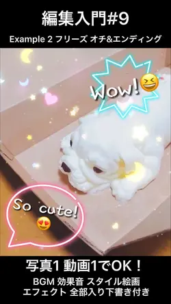 編集入門#9 Example2 フリーズ機能活用 エンディング&オチ