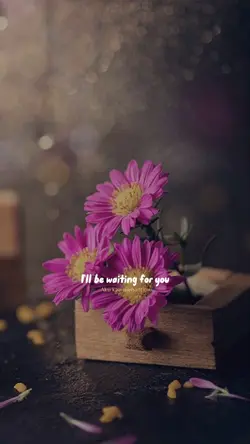 I’ll be waiting for