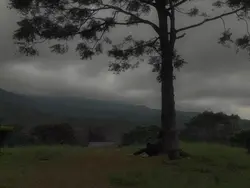 dreamy dark effect