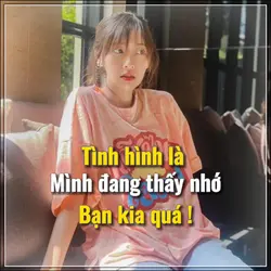 Stt Video Fb