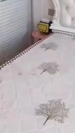 hshs