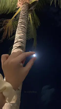 dandelions kembaliii