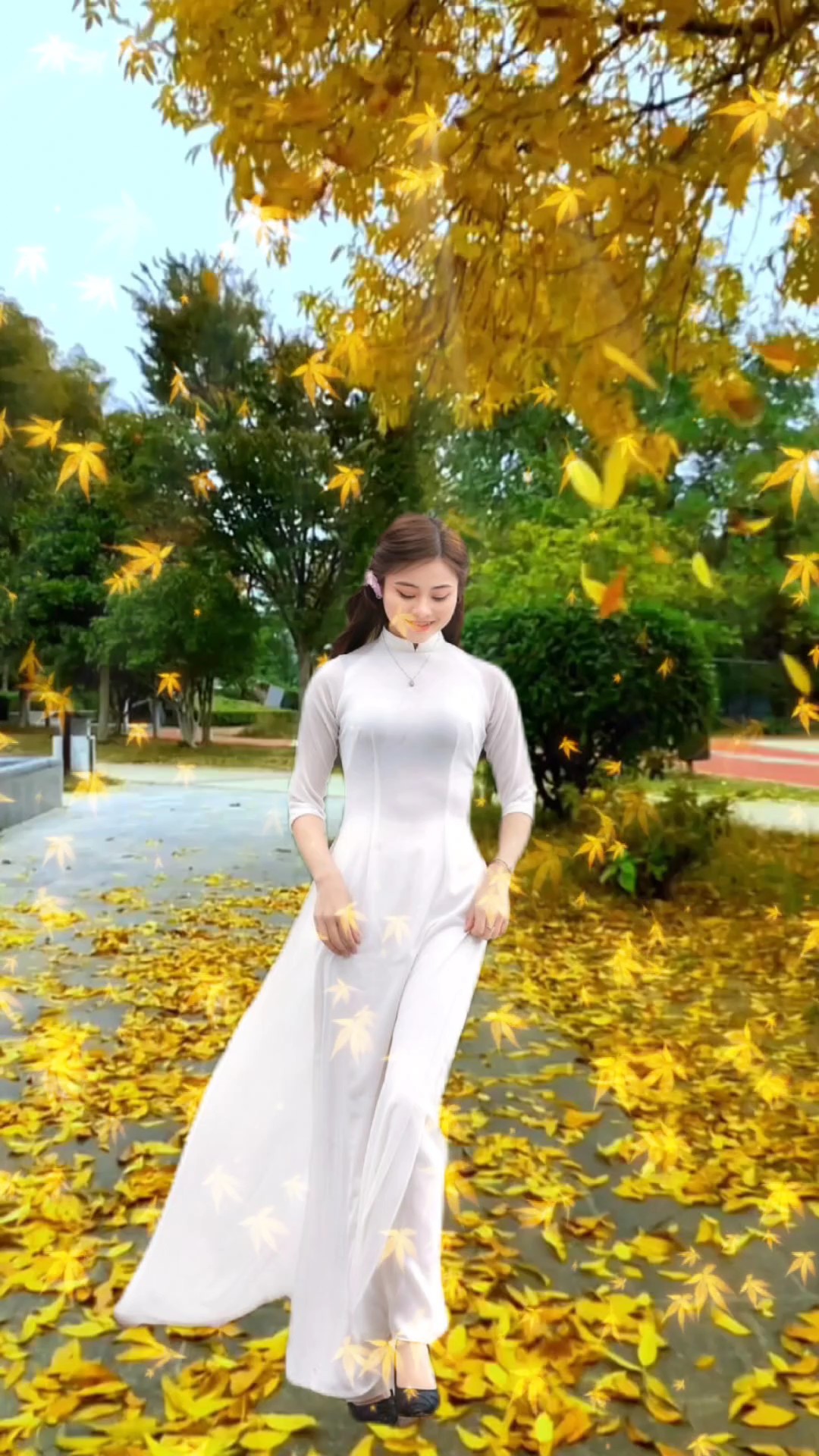 Mẫu lá rơi đẹp