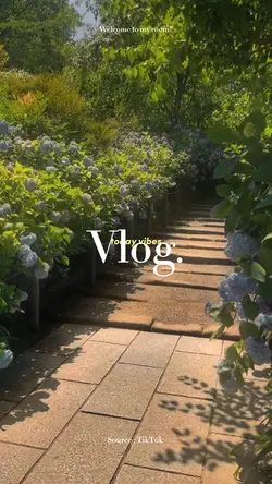 ⭐️Chill film for u 🌷