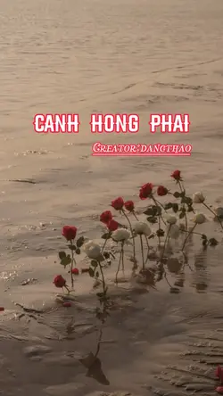 Beat 4 Ảnh