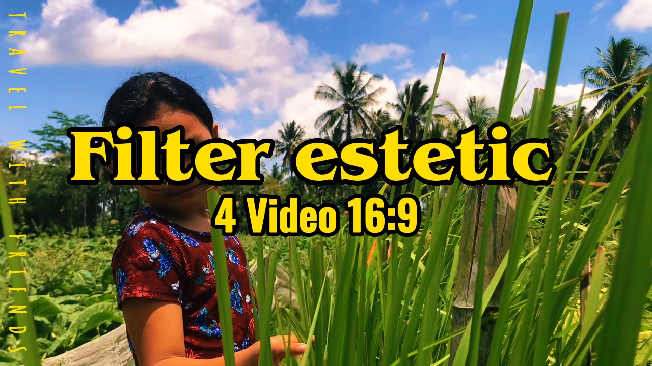 Video estetik alam