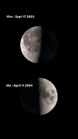 Trend Moon Phase