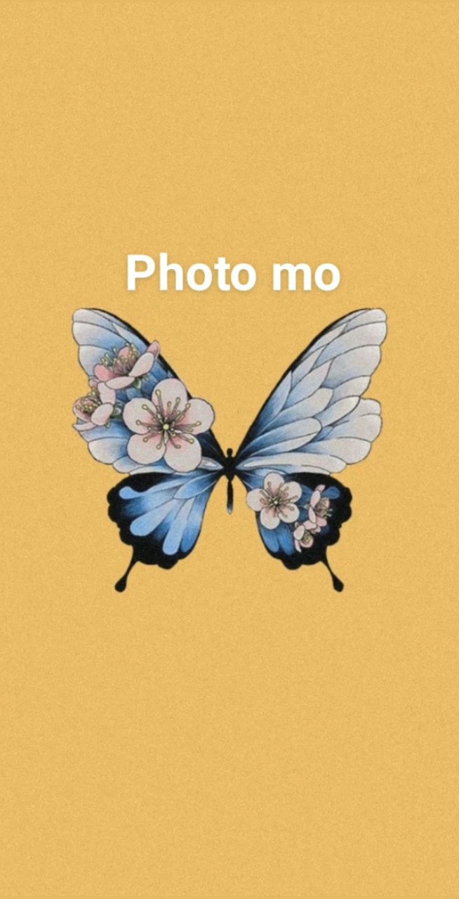 6 Foto