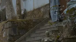 Mẫu Đi Chùa