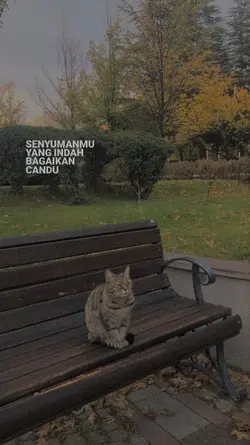 versi butiran